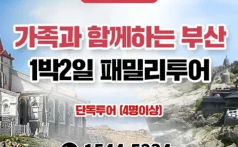 부산해변열차예약 2024년 BEST 추천 상품 가격 비교