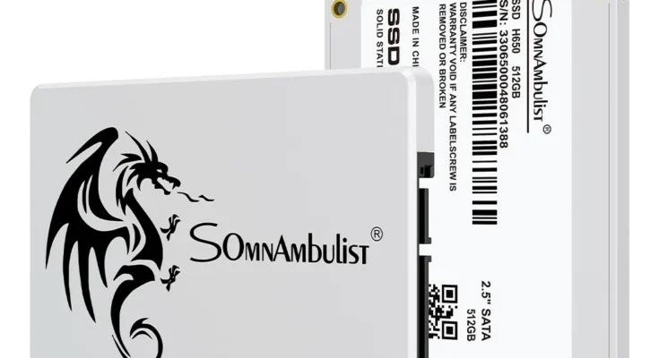 SomnAmbulist 노트북 데스크탑용 SSD 2.5 추천 제품 Best 구매 가이드 가격 비교