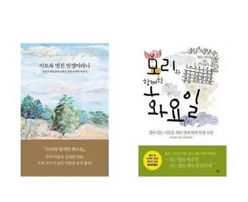 모리와함께한화요일 추천 제품 핫한 가격 비교