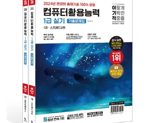 이기적컴활1급실기 추천 및 제품정보 가격 비교 최저가 정보