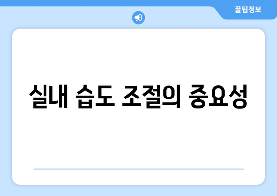 안전하고 효과적인 건조한 실내 공기 대처법 7가지 팁 | 실내 공기, 건강, 습도 관리