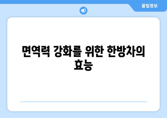 따뜻한 한방차로 건강 챙기기 | 면역력 강화 방법과 추천 차 목록 | 한방차, 건강, 자연 치유법