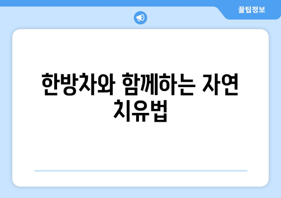 따뜻한 한방차로 건강 챙기기 | 면역력 강화 방법과 추천 차 목록 | 한방차, 건강, 자연 치유법