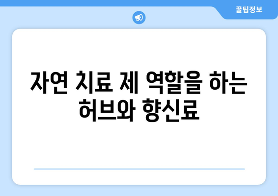 감기 예방에 좋은 면역력 강화 식품 10가지 | 건강, 영양, 식품 추천