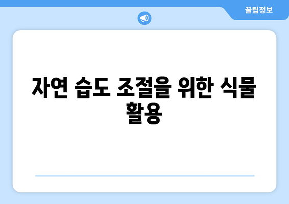 안전하고 효과적인 건조한 실내 공기 대처법 7가지 팁 | 실내 공기, 건강, 습도 관리