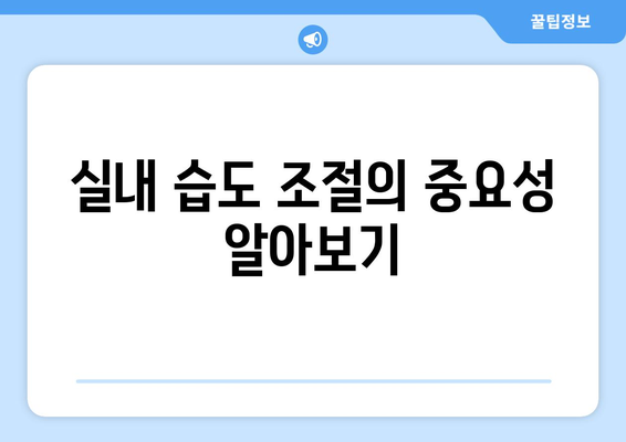 실내 습도 관리와 건강한 호흡법| 효율적인 팁과 방법 | 실내 공기질, 호흡 건강, 습도 조절"