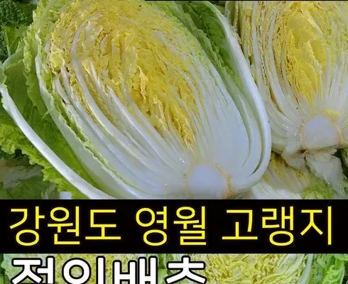 절임배추20kg 추천 재구매율이 높은 상품 순위 가격비교 정리