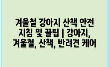 겨울철 강아지 산책 안전 지침 및 꿀팁 | 강아지, 겨울철, 산책, 반려견 케어