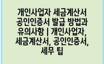 개인사업자 세금계산서 공인인증서 발급 방법과 유의사항 | 개인사업자, 세금계산서, 공인인증서, 세무 팁