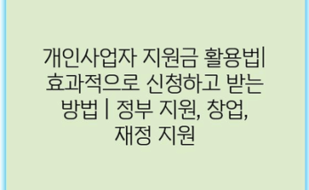 개인사업자 지원금 활용법| 효과적으로 신청하고 받는 방법 | 정부 지원, 창업, 재정 지원
